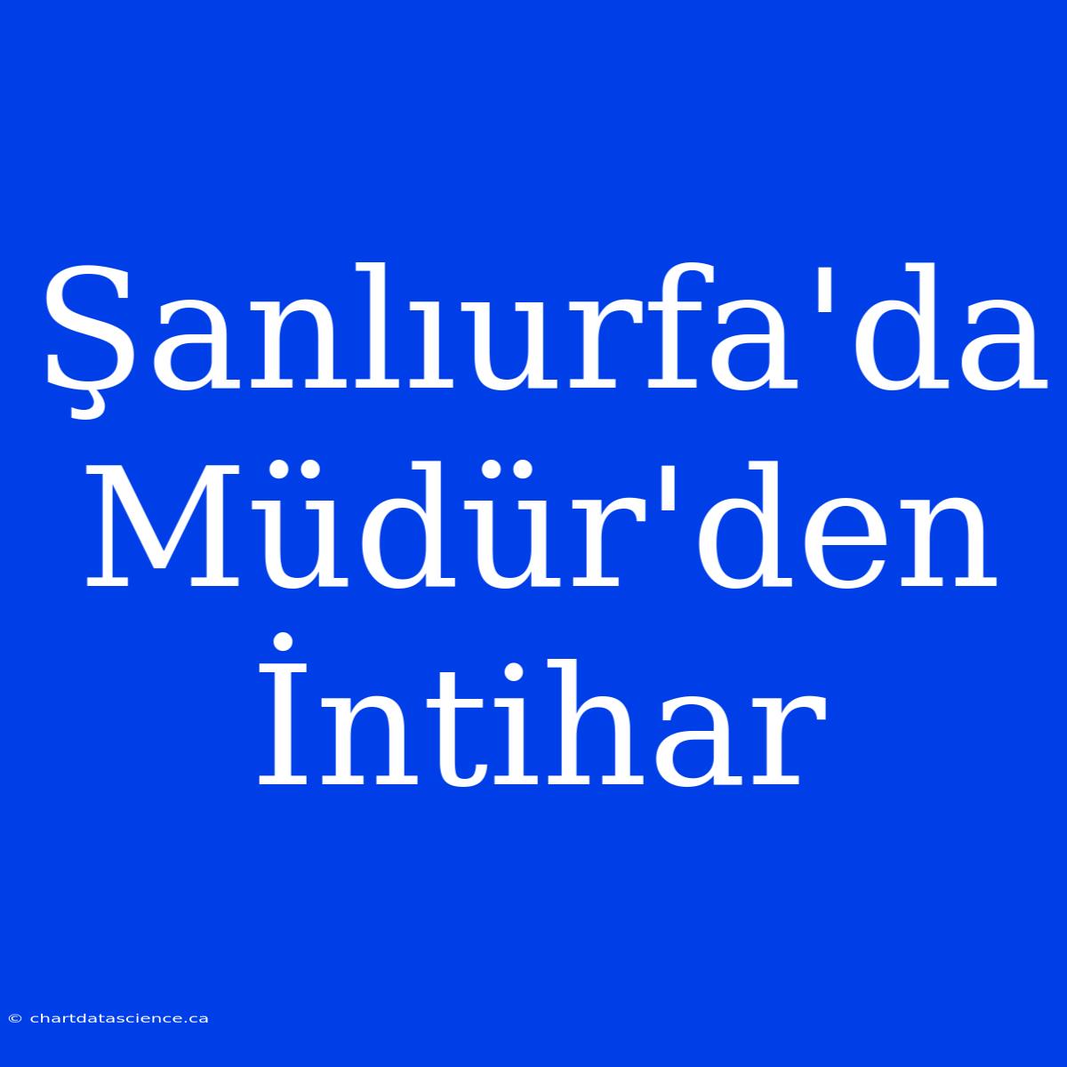 Şanlıurfa'da Müdür'den İntihar