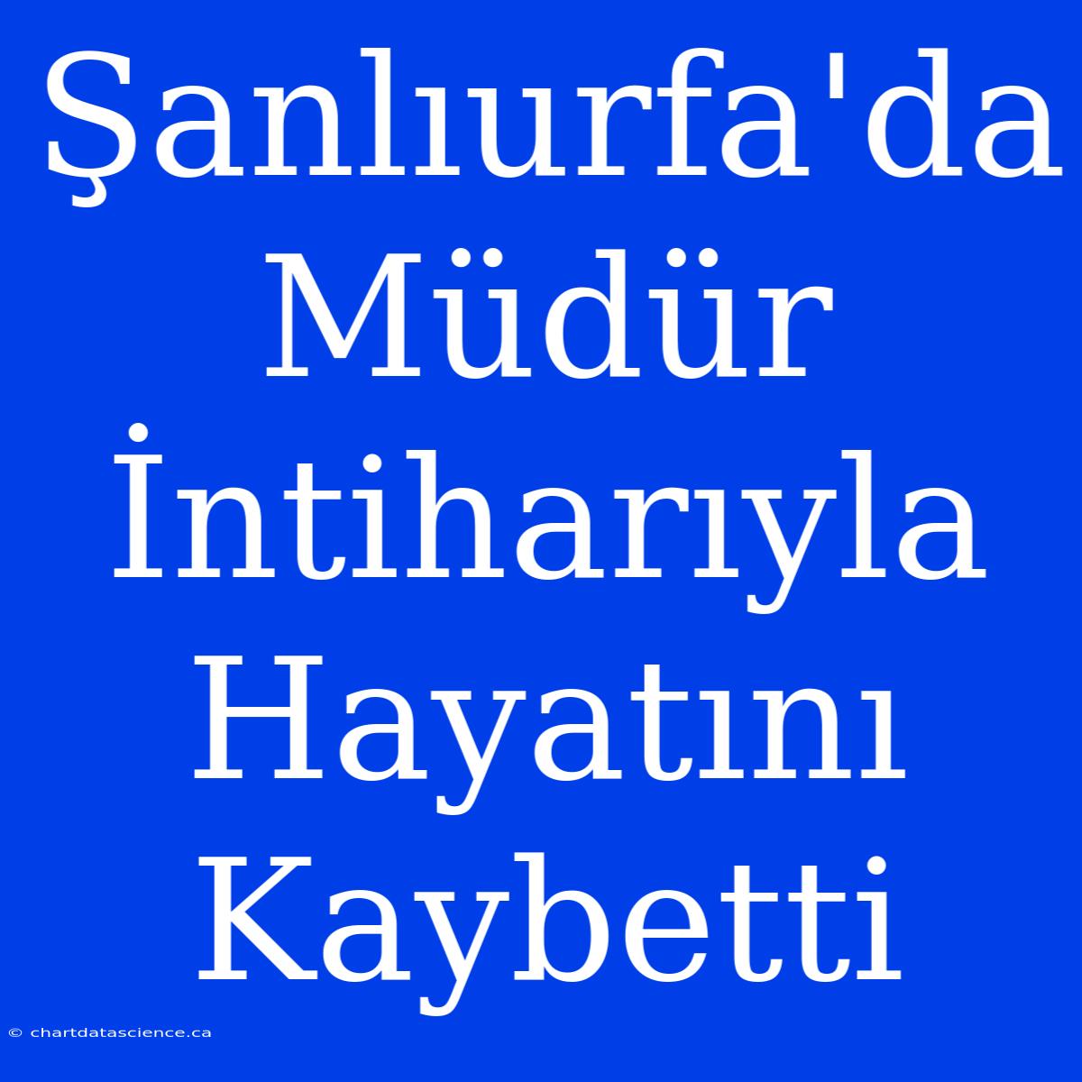 Şanlıurfa'da Müdür İntiharıyla Hayatını Kaybetti