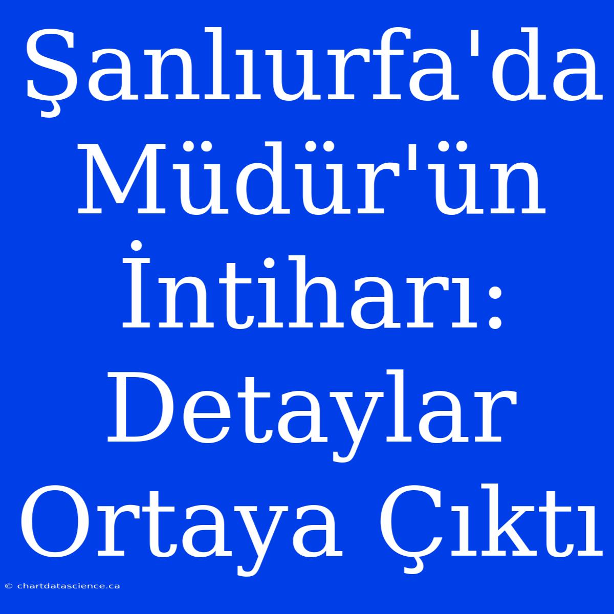 Şanlıurfa'da Müdür'ün İntiharı: Detaylar Ortaya Çıktı