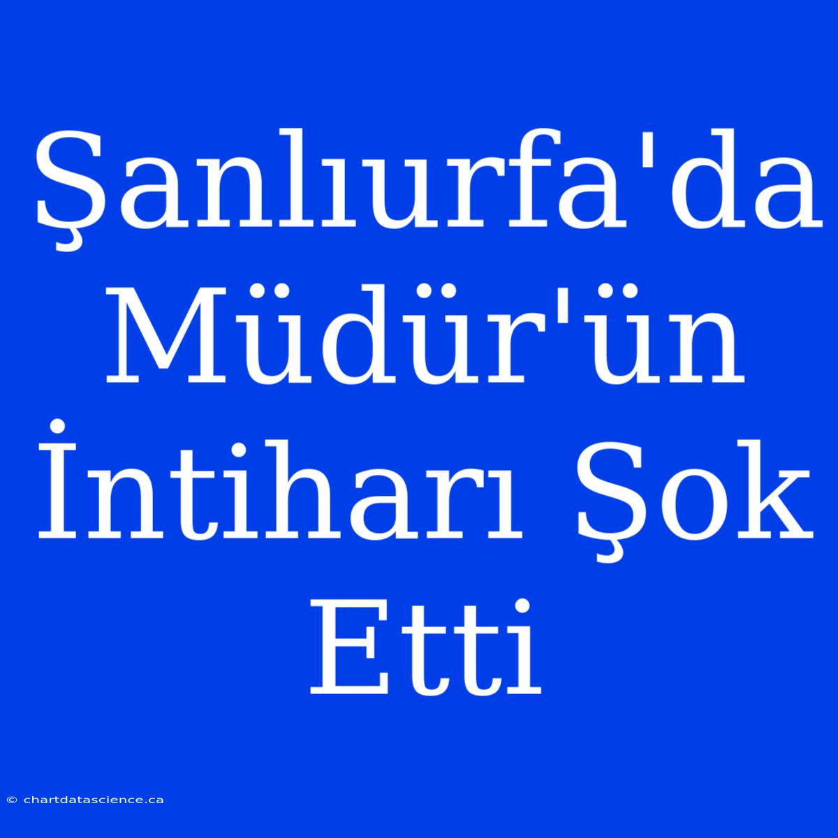 Şanlıurfa'da Müdür'ün İntiharı Şok Etti