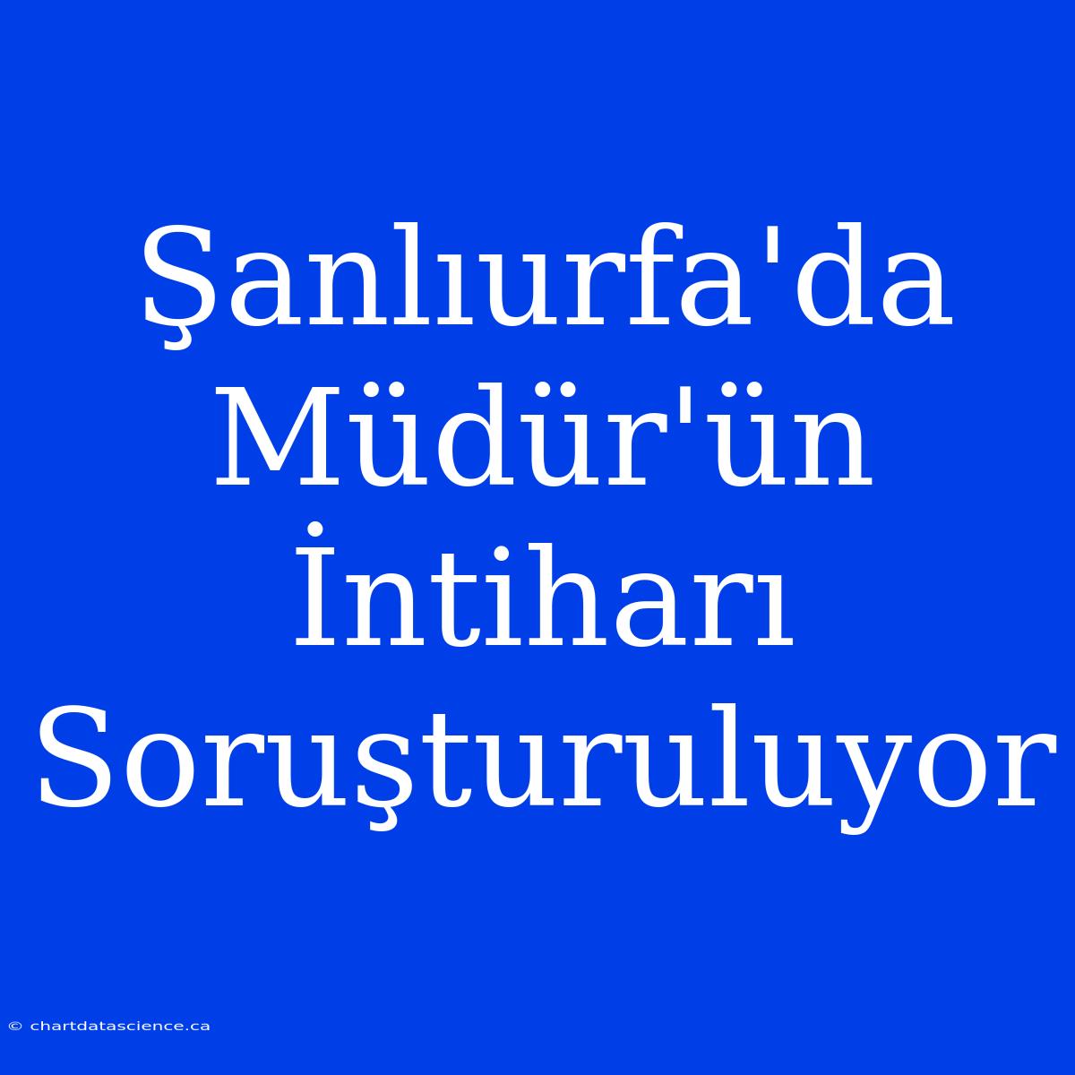 Şanlıurfa'da Müdür'ün İntiharı Soruşturuluyor