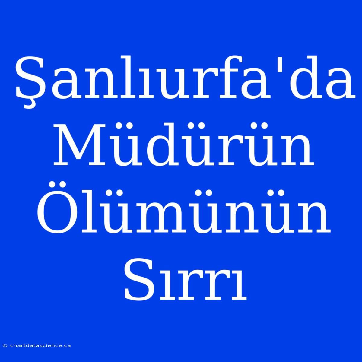 Şanlıurfa'da Müdürün Ölümünün Sırrı