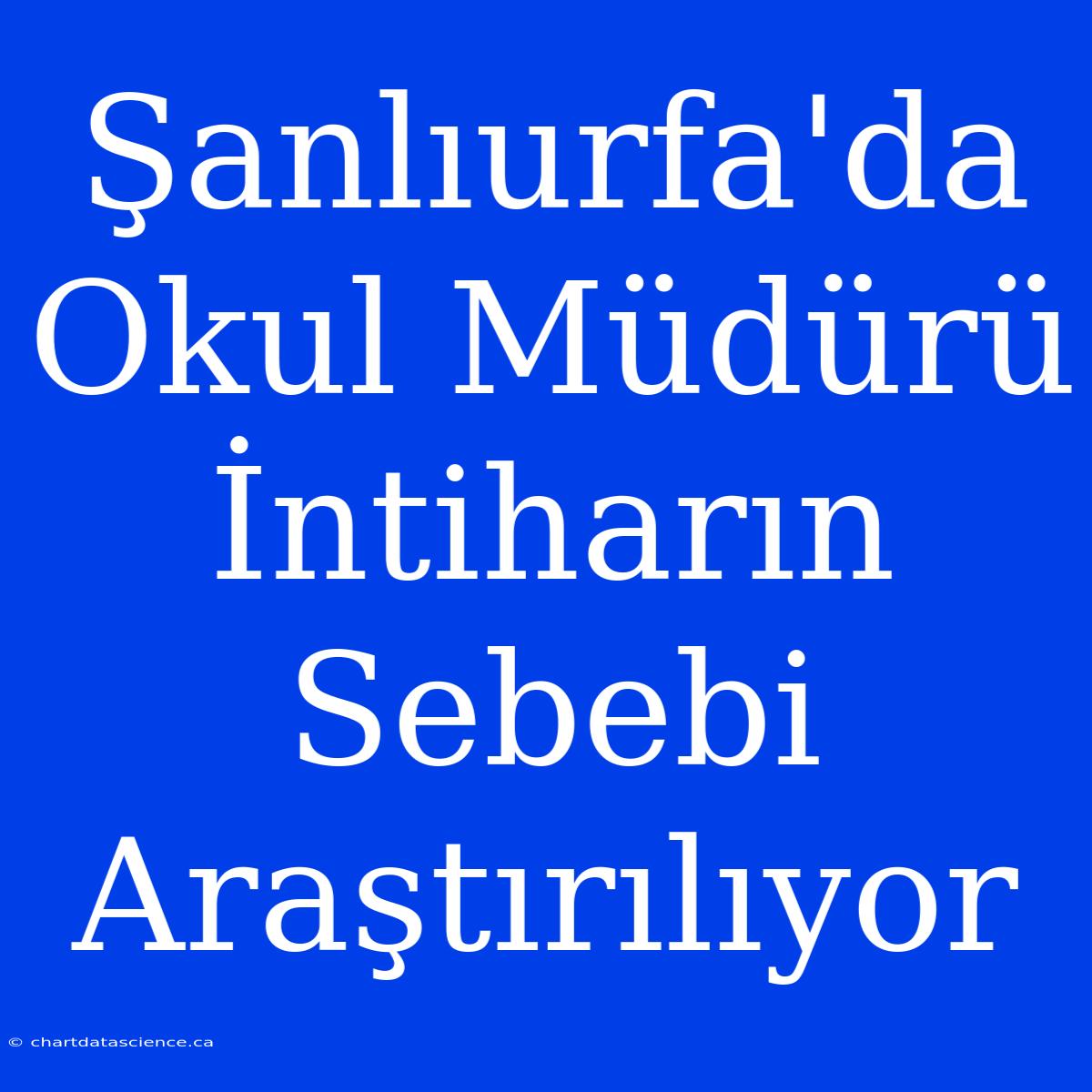 Şanlıurfa'da Okul Müdürü İntiharın Sebebi Araştırılıyor