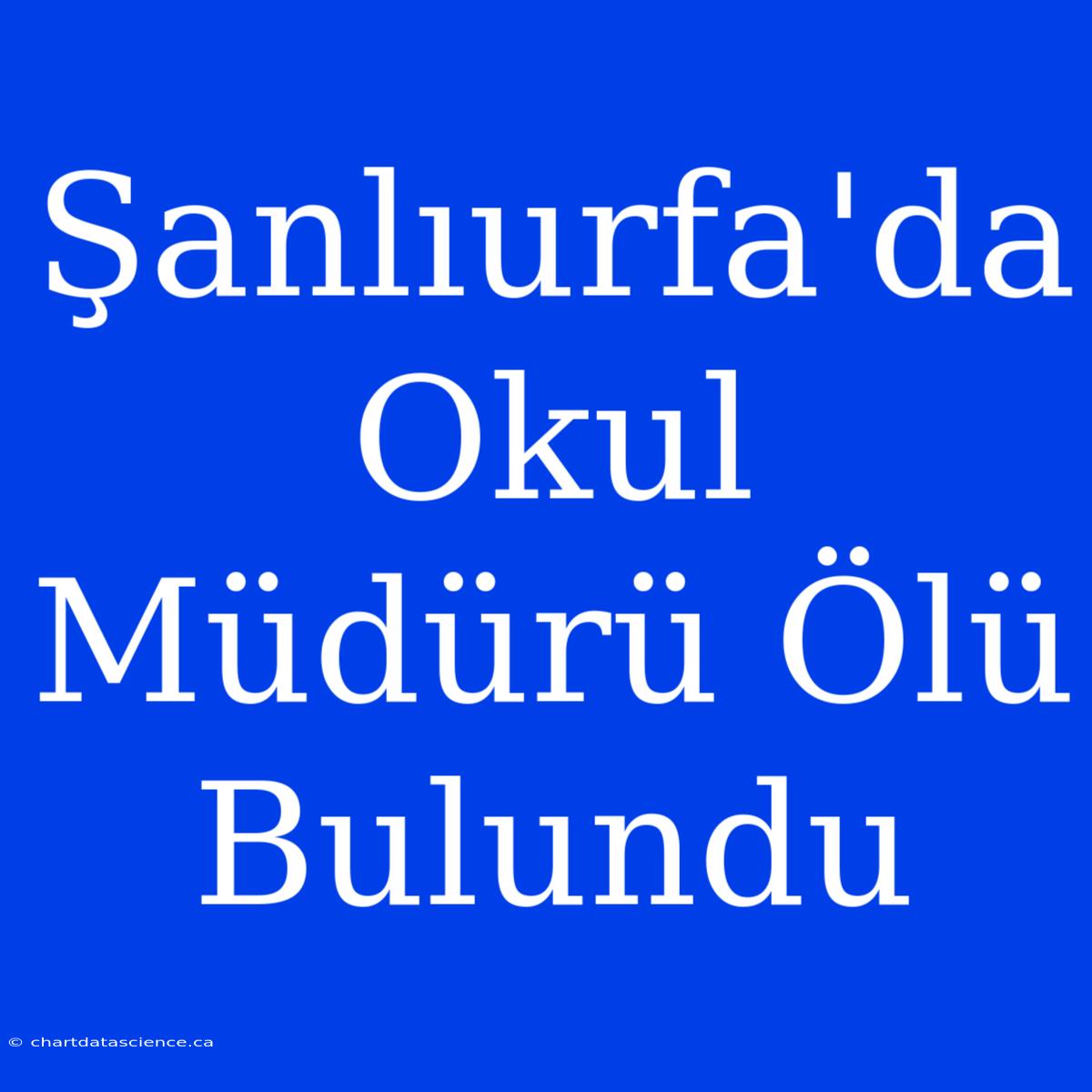 Şanlıurfa'da Okul Müdürü Ölü Bulundu