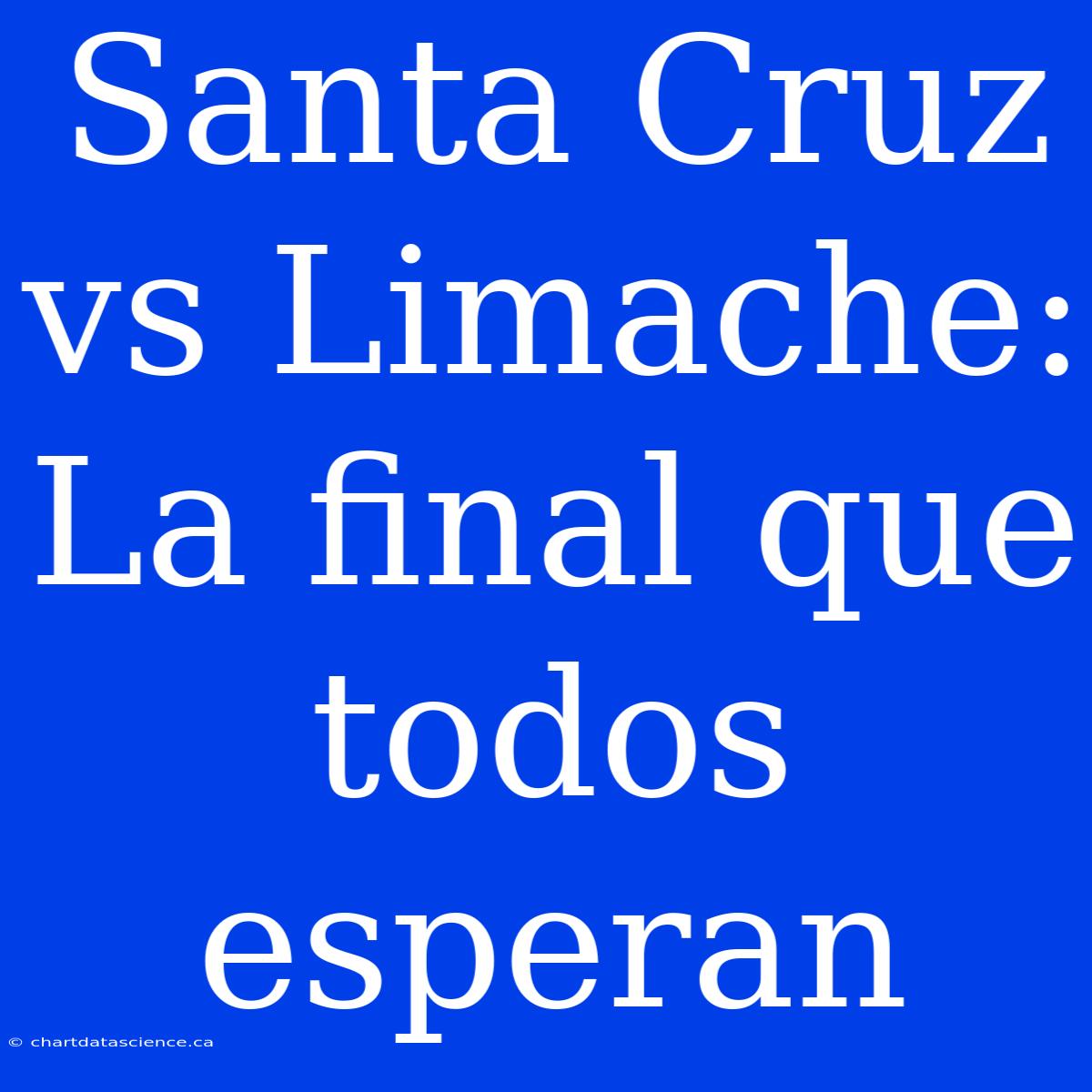 Santa Cruz Vs Limache: La Final Que Todos Esperan