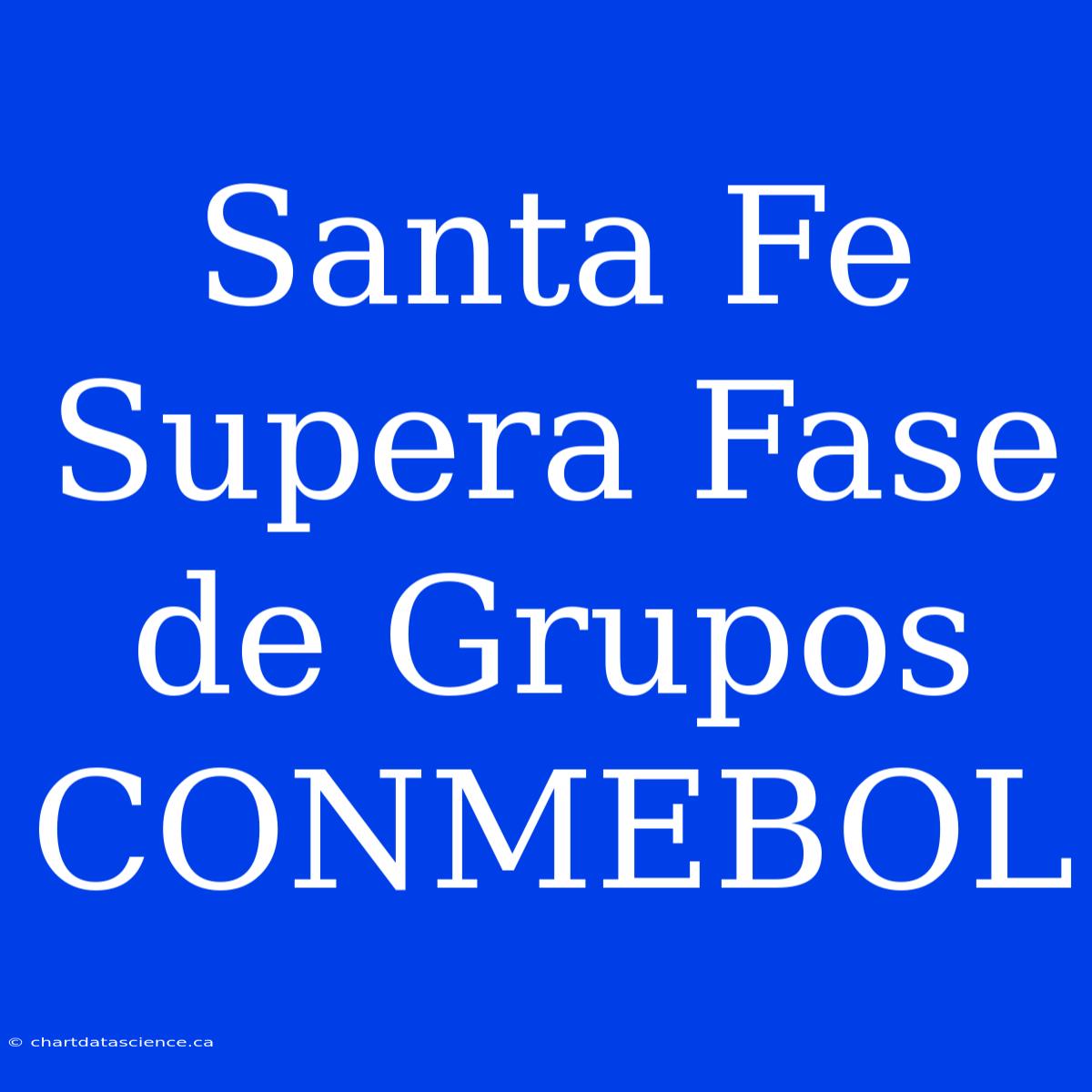 Santa Fe Supera Fase De Grupos CONMEBOL