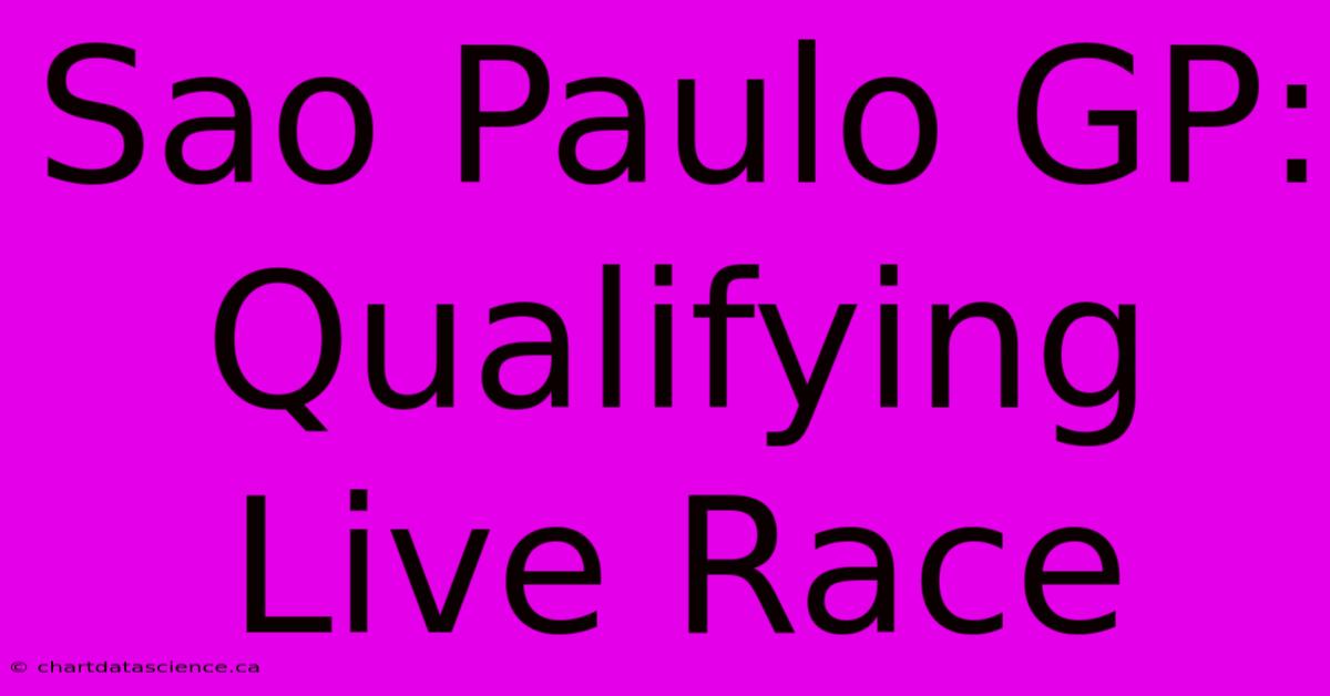 Sao Paulo GP: Qualifying Live Race