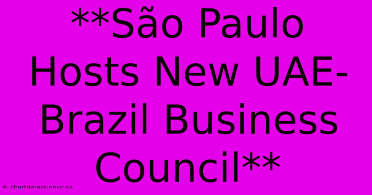 **São Paulo Hosts New UAE-Brazil Business Council**