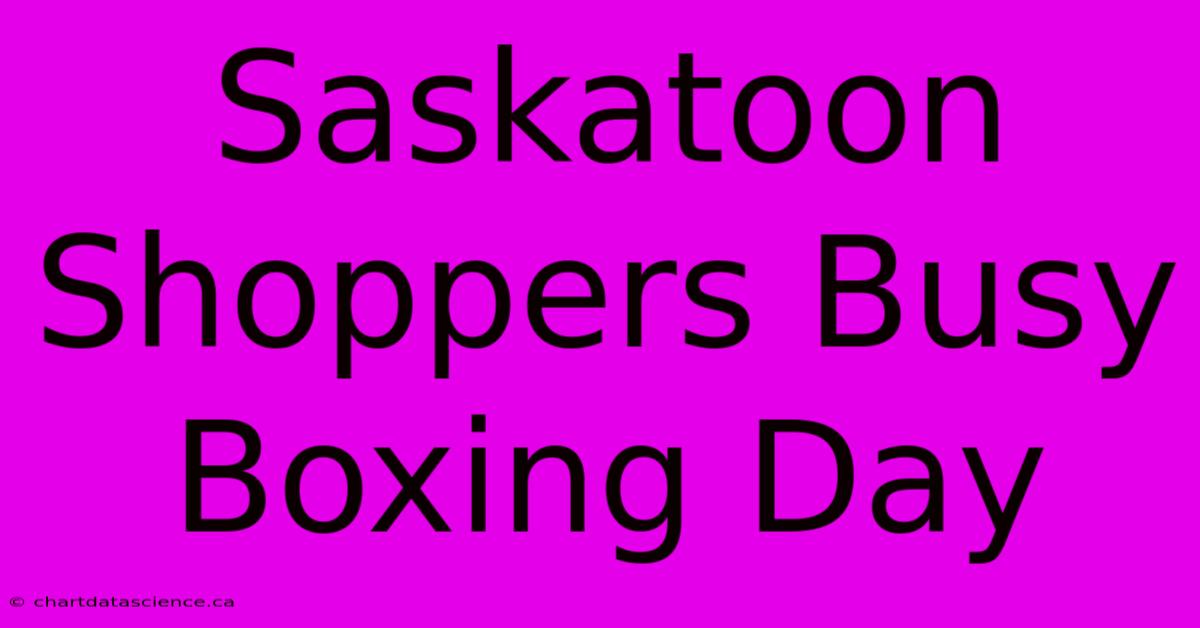 Saskatoon Shoppers Busy Boxing Day