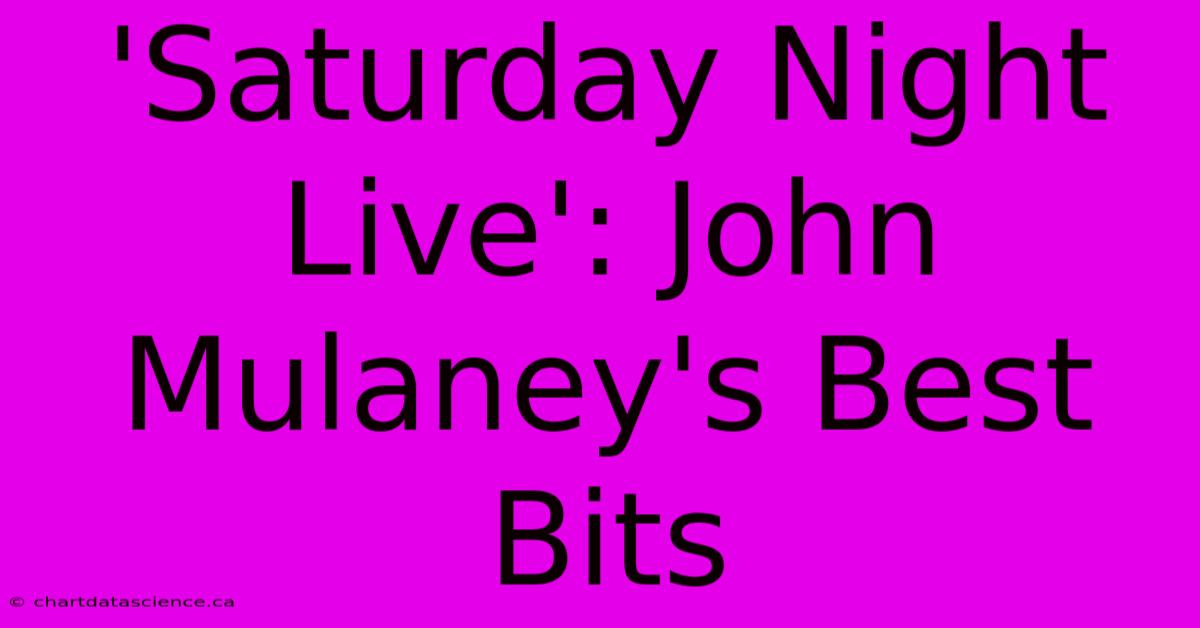 'Saturday Night Live': John Mulaney's Best Bits