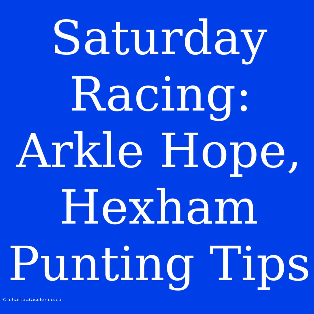 Saturday Racing: Arkle Hope, Hexham Punting Tips