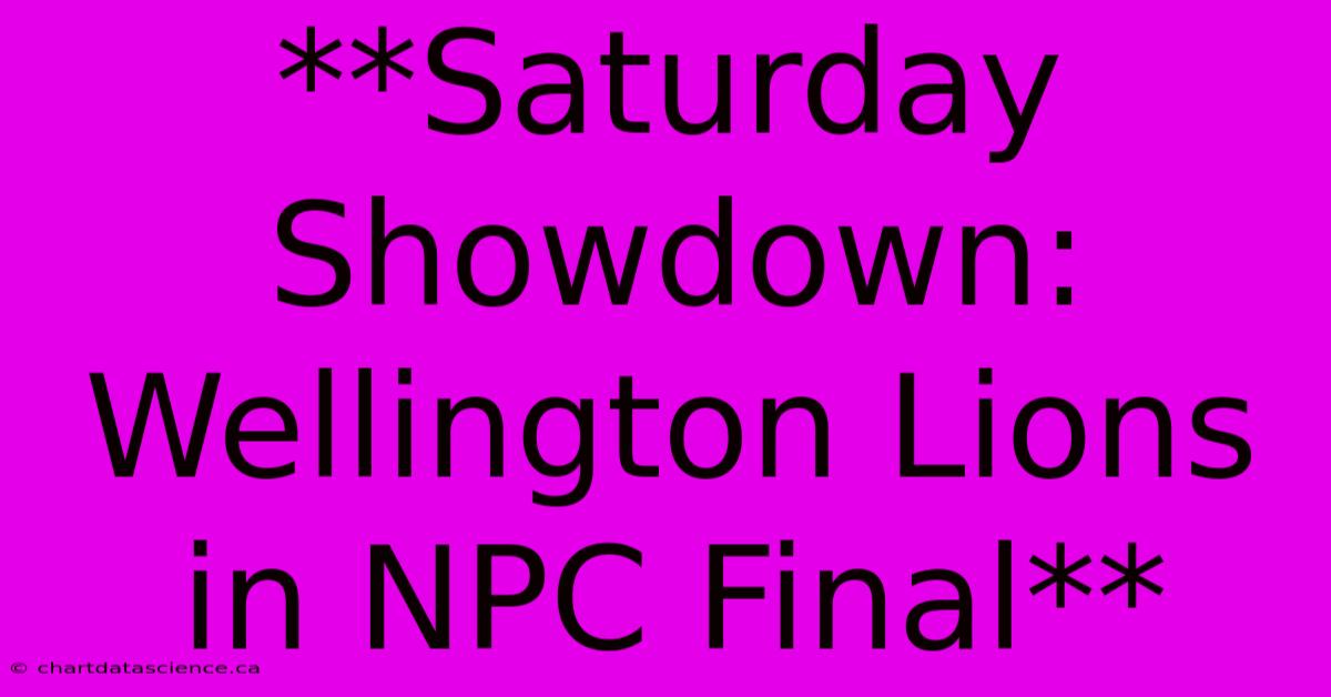 **Saturday Showdown: Wellington Lions In NPC Final** 