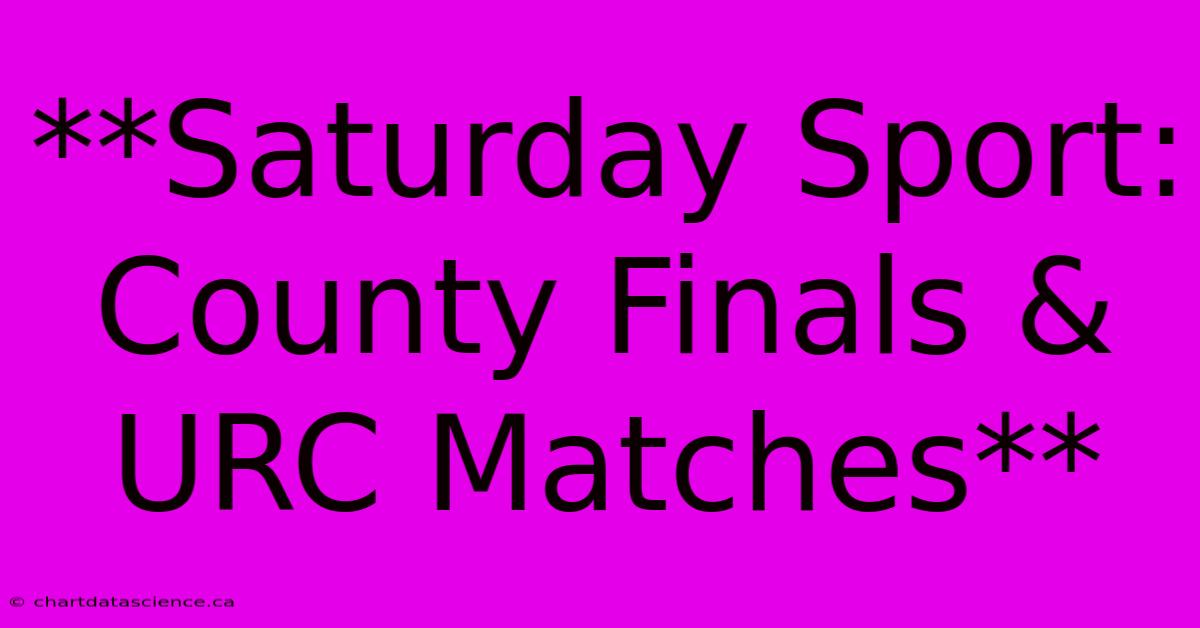 **Saturday Sport: County Finals & URC Matches**