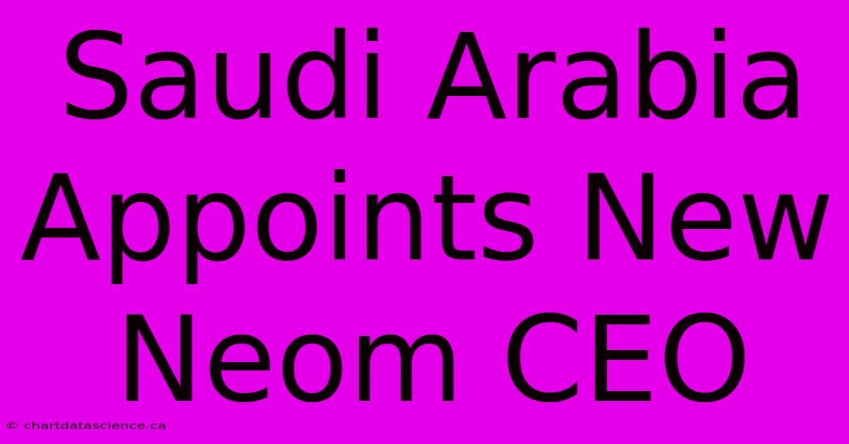 Saudi Arabia Appoints New Neom CEO