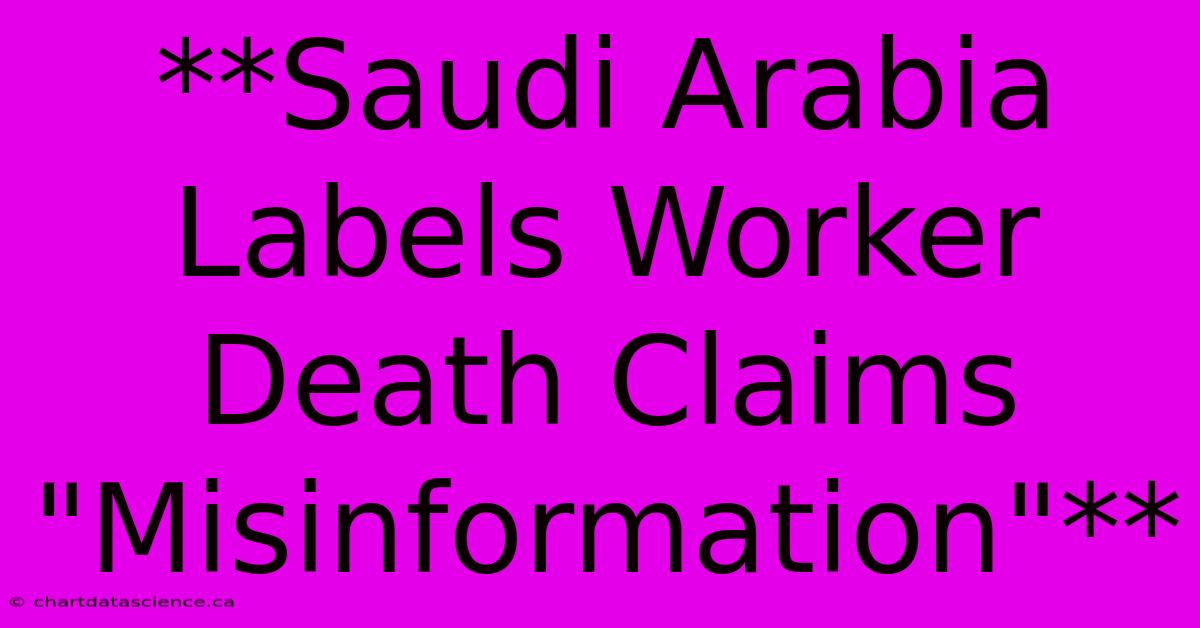 **Saudi Arabia Labels Worker Death Claims 