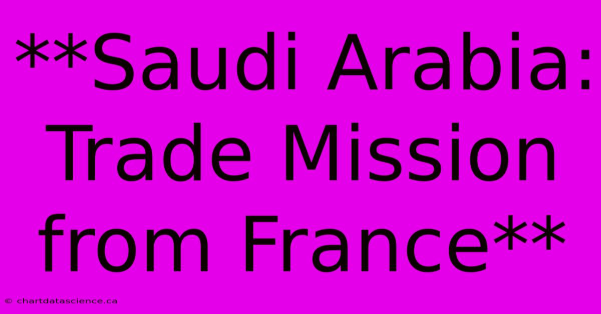 **Saudi Arabia: Trade Mission From France** 