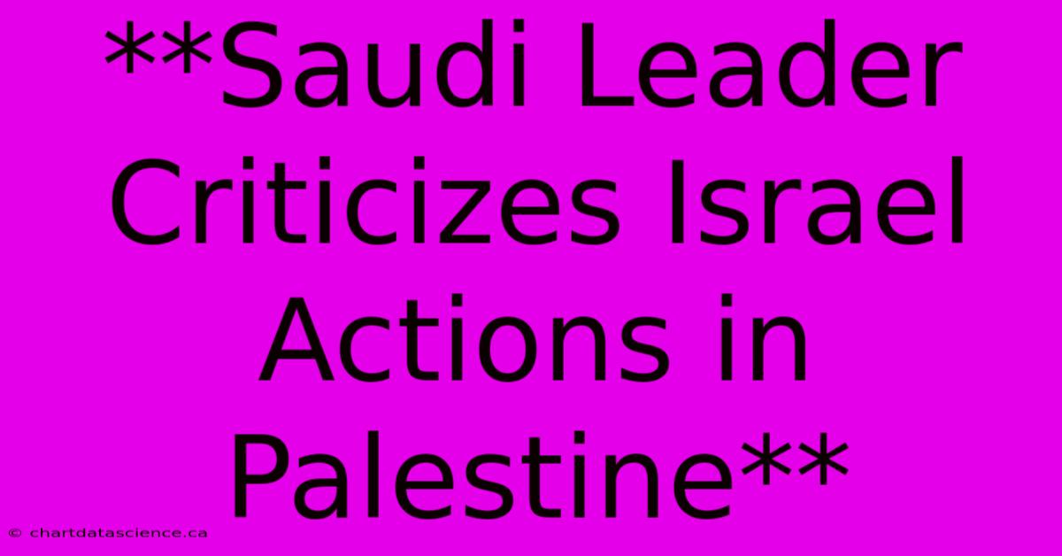 **Saudi Leader Criticizes Israel Actions In Palestine**