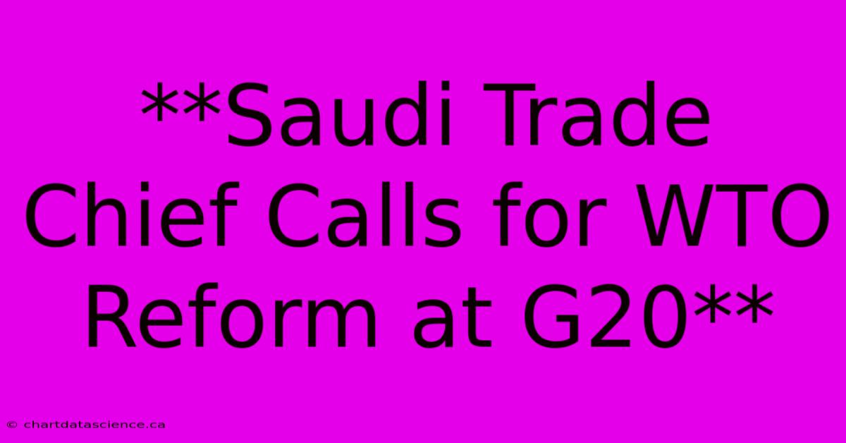 **Saudi Trade Chief Calls For WTO Reform At G20**