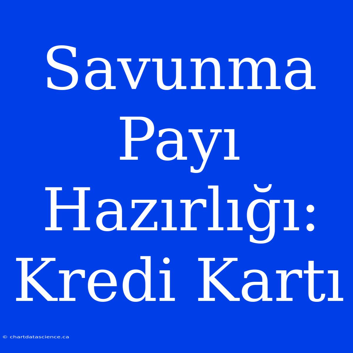 Savunma Payı Hazırlığı: Kredi Kartı