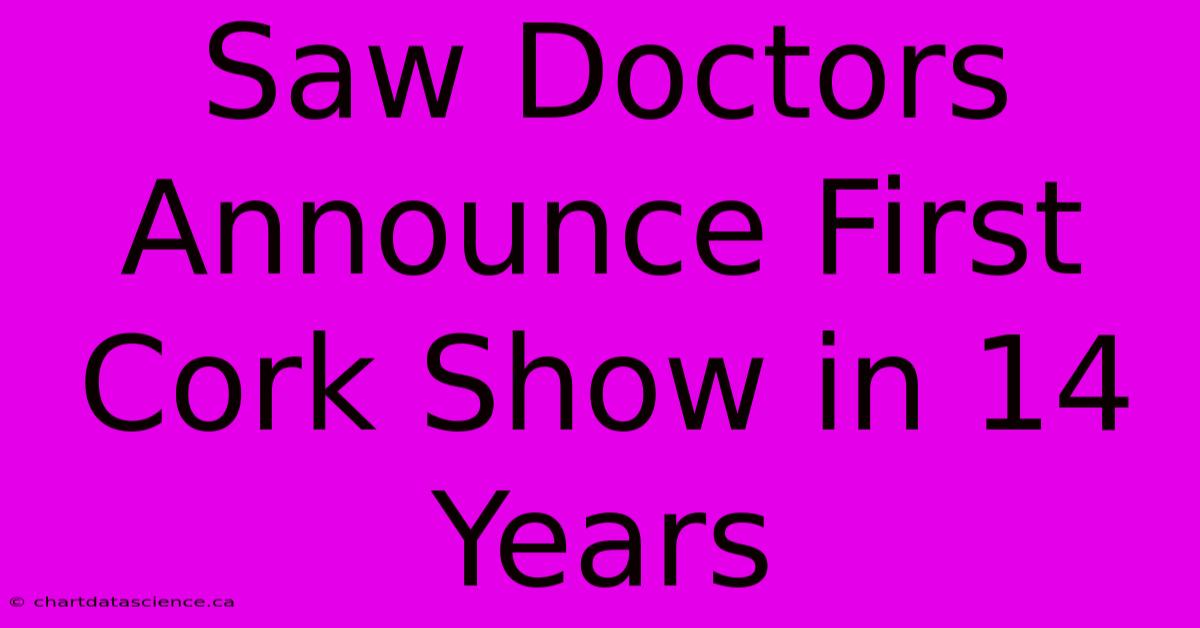 Saw Doctors Announce First Cork Show In 14 Years