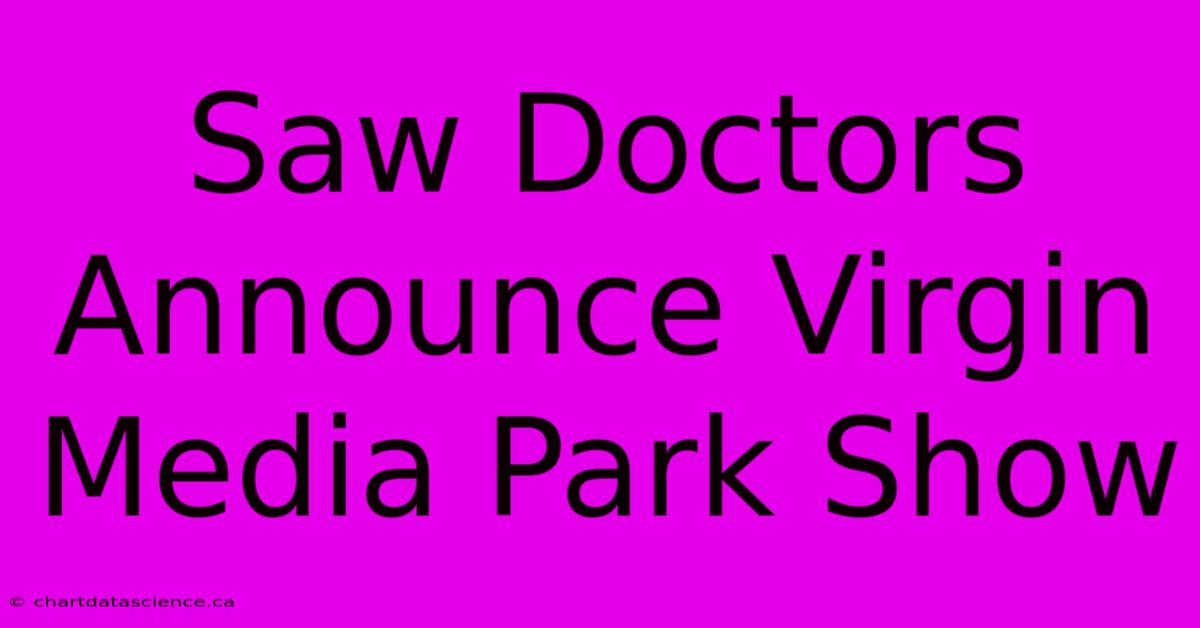 Saw Doctors Announce Virgin Media Park Show