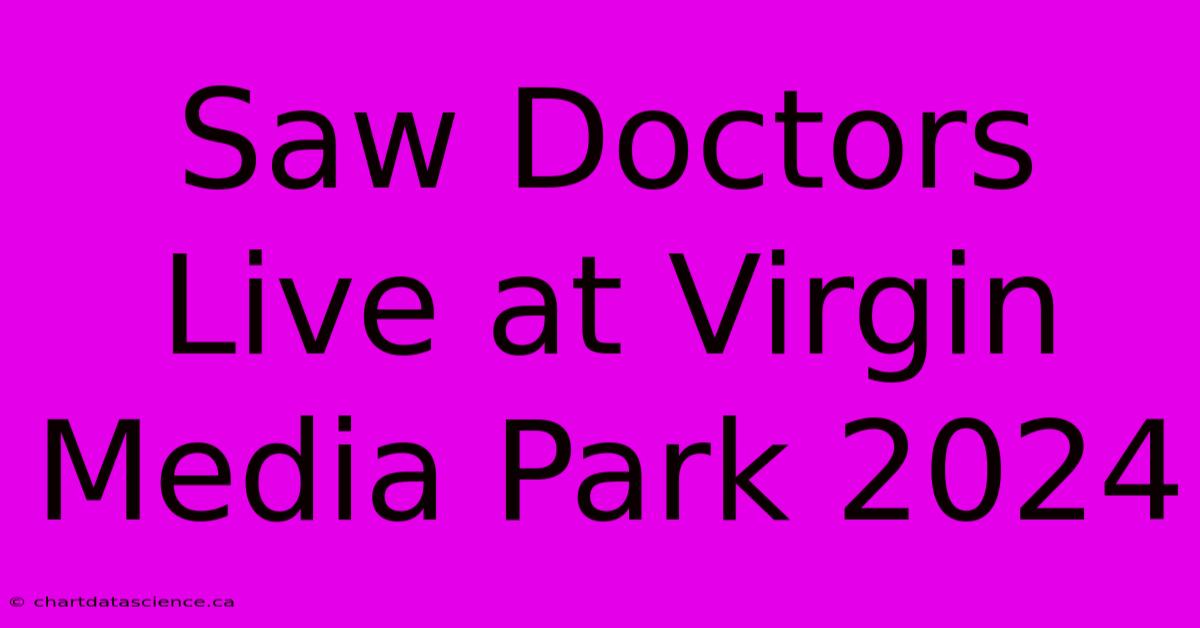 Saw Doctors Live At Virgin Media Park 2024