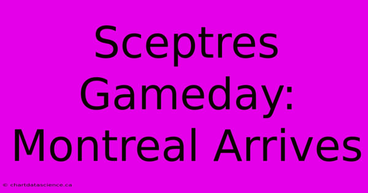 Sceptres Gameday: Montreal Arrives