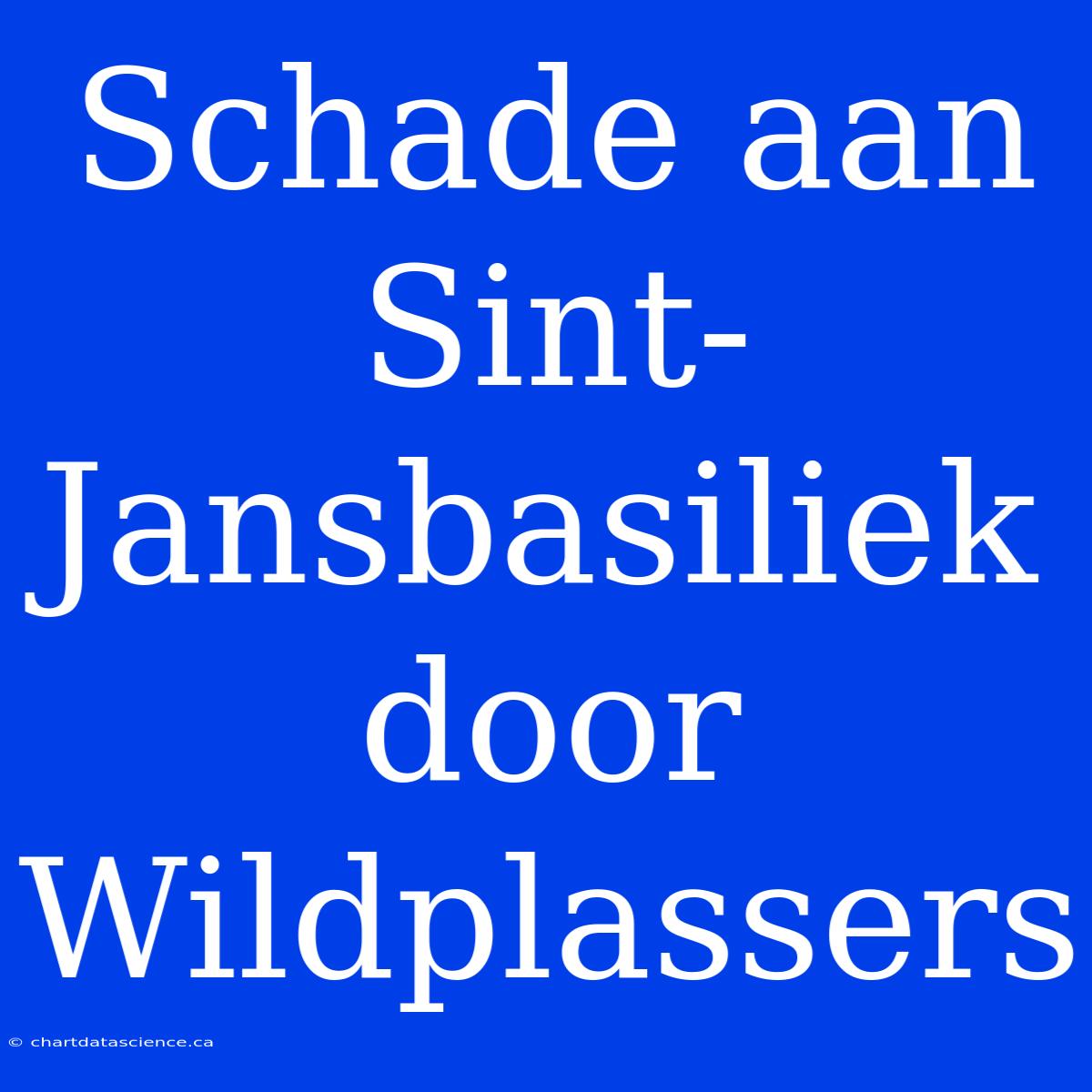 Schade Aan Sint-Jansbasiliek Door Wildplassers