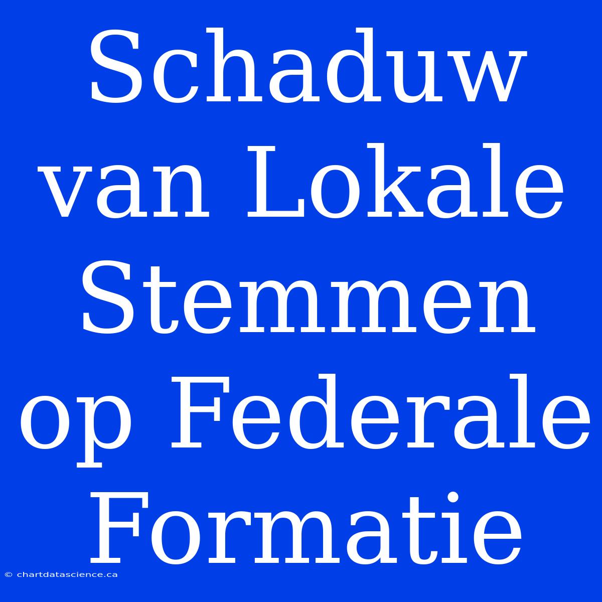 Schaduw Van Lokale Stemmen Op Federale Formatie