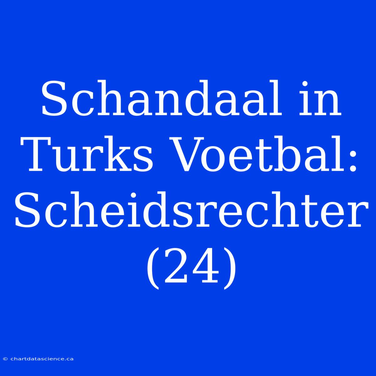 Schandaal In Turks Voetbal: Scheidsrechter (24)