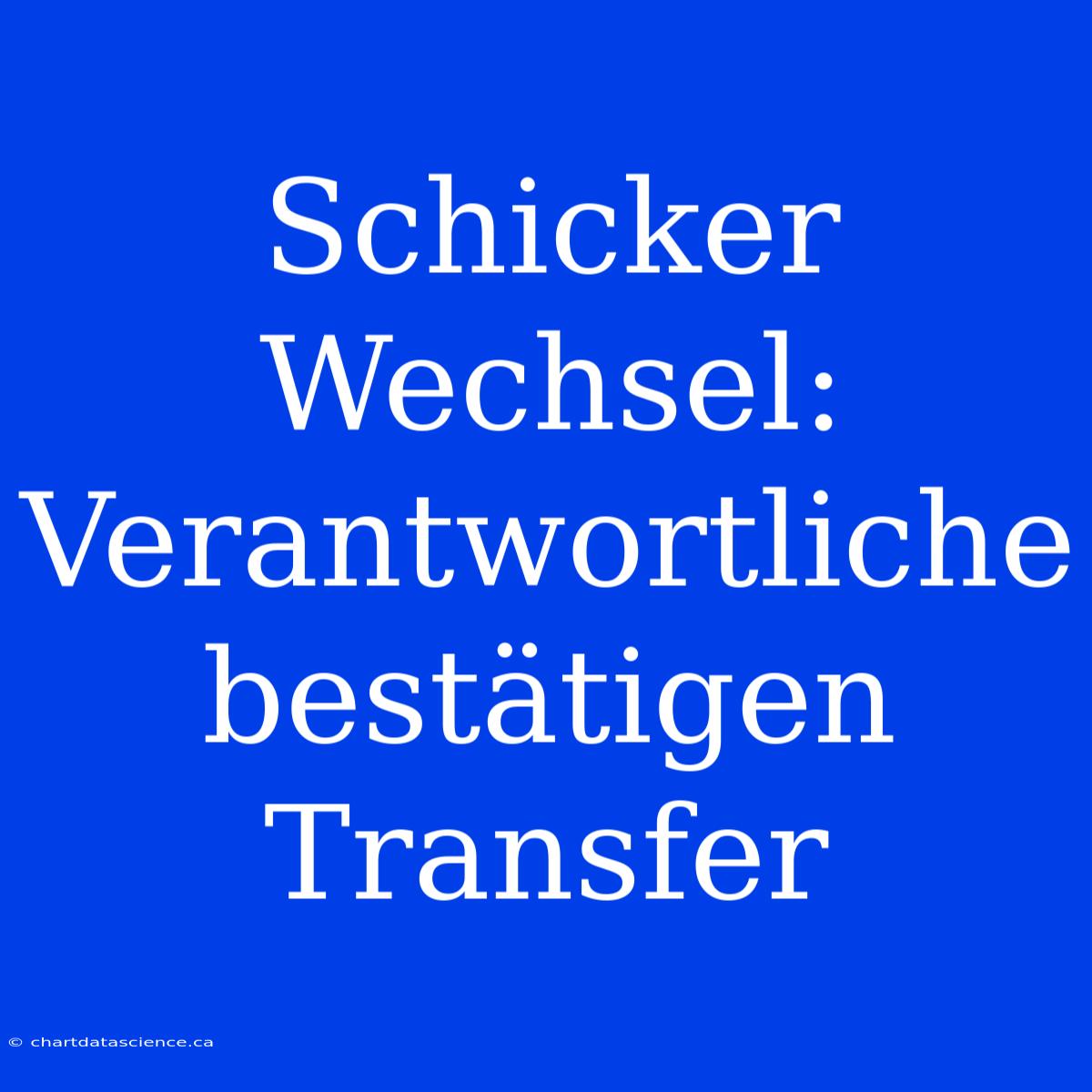 Schicker Wechsel: Verantwortliche Bestätigen Transfer