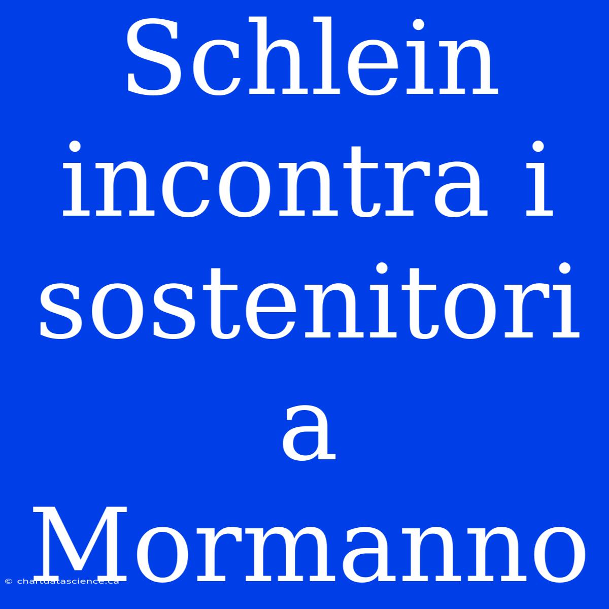 Schlein Incontra I Sostenitori A Mormanno