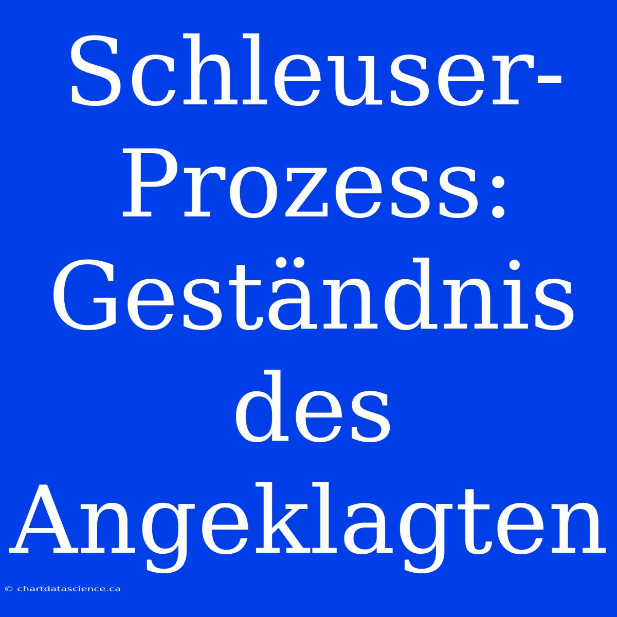 Schleuser-Prozess: Geständnis Des Angeklagten