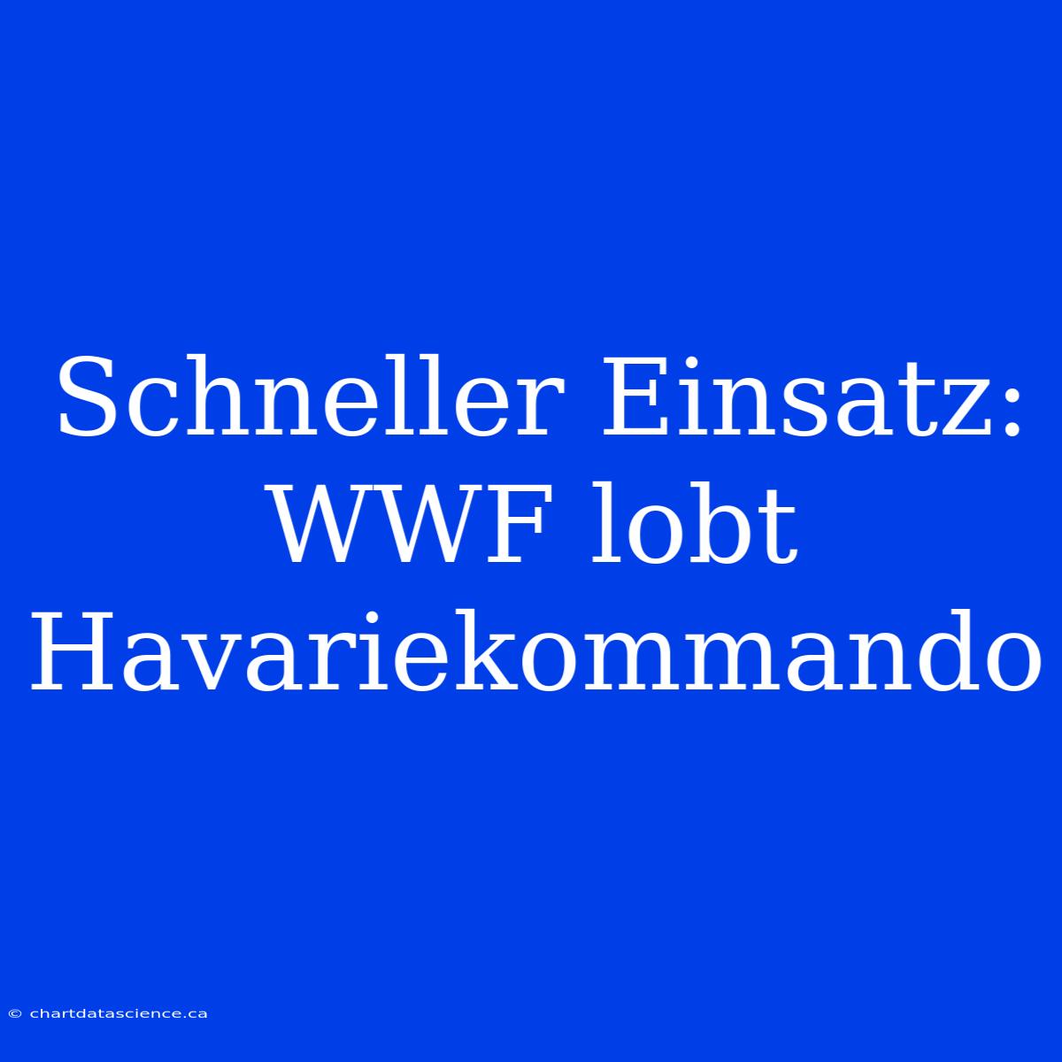 Schneller Einsatz: WWF Lobt Havariekommando