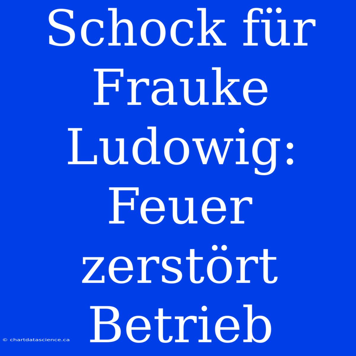 Schock Für Frauke Ludowig: Feuer Zerstört Betrieb