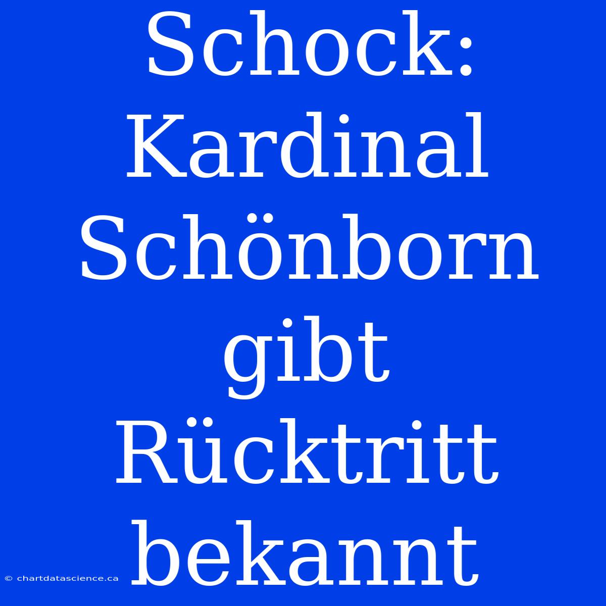 Schock: Kardinal Schönborn Gibt Rücktritt Bekannt