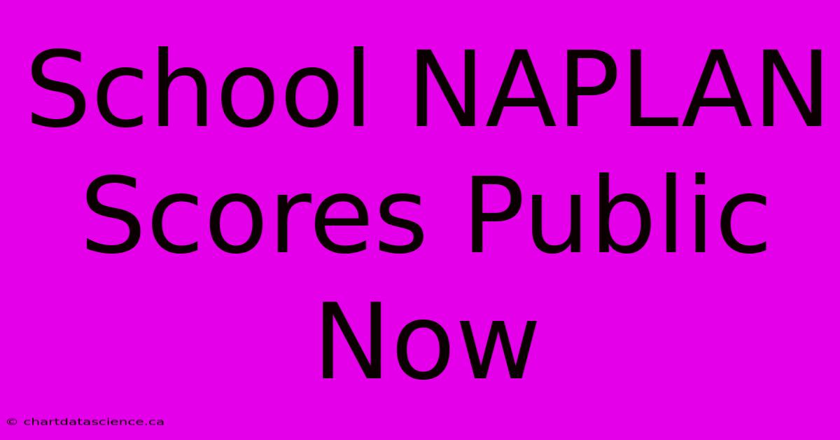 School NAPLAN Scores Public Now