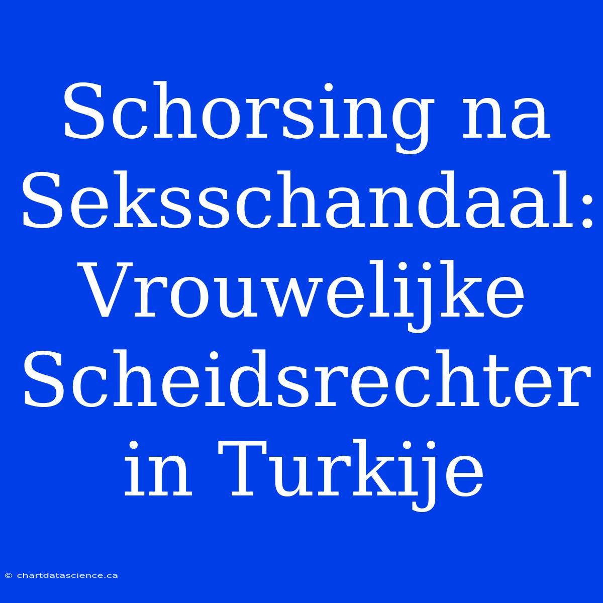 Schorsing Na Seksschandaal: Vrouwelijke Scheidsrechter In Turkije