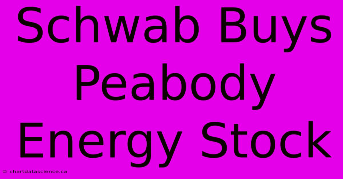 Schwab Buys Peabody Energy Stock