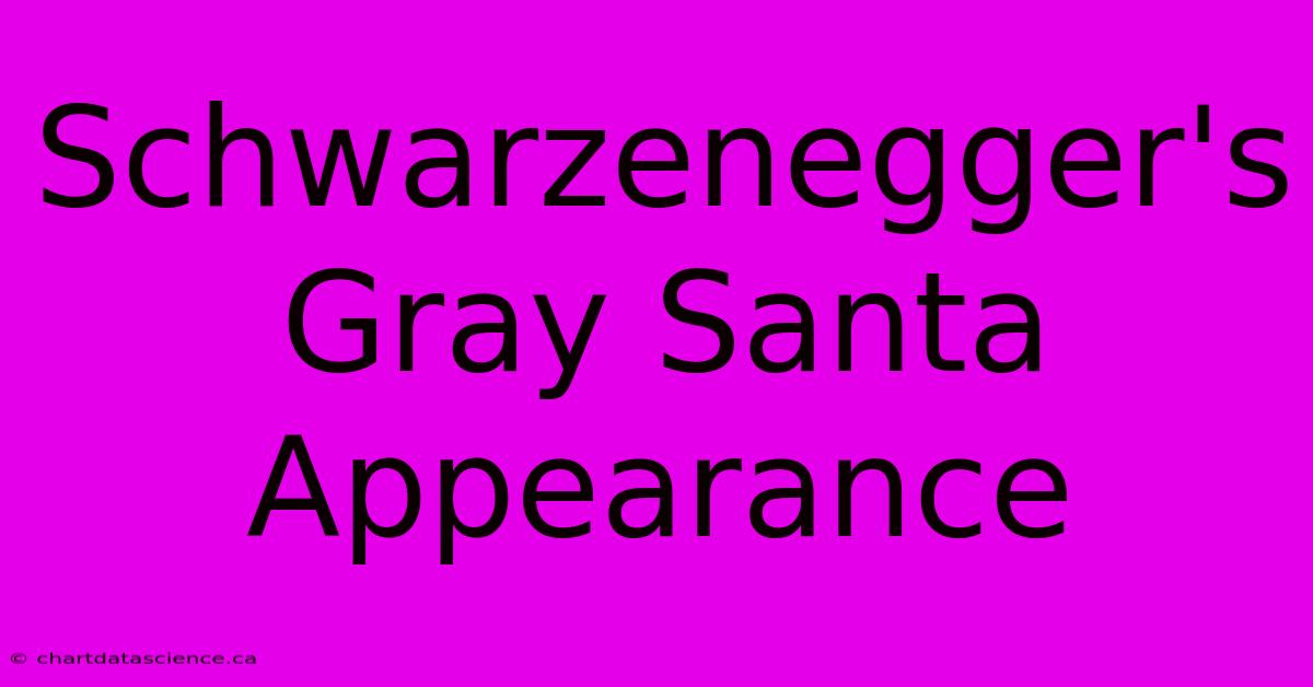 Schwarzenegger's Gray Santa Appearance