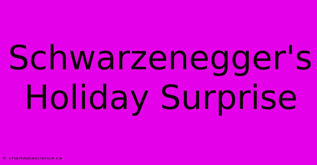 Schwarzenegger's Holiday Surprise