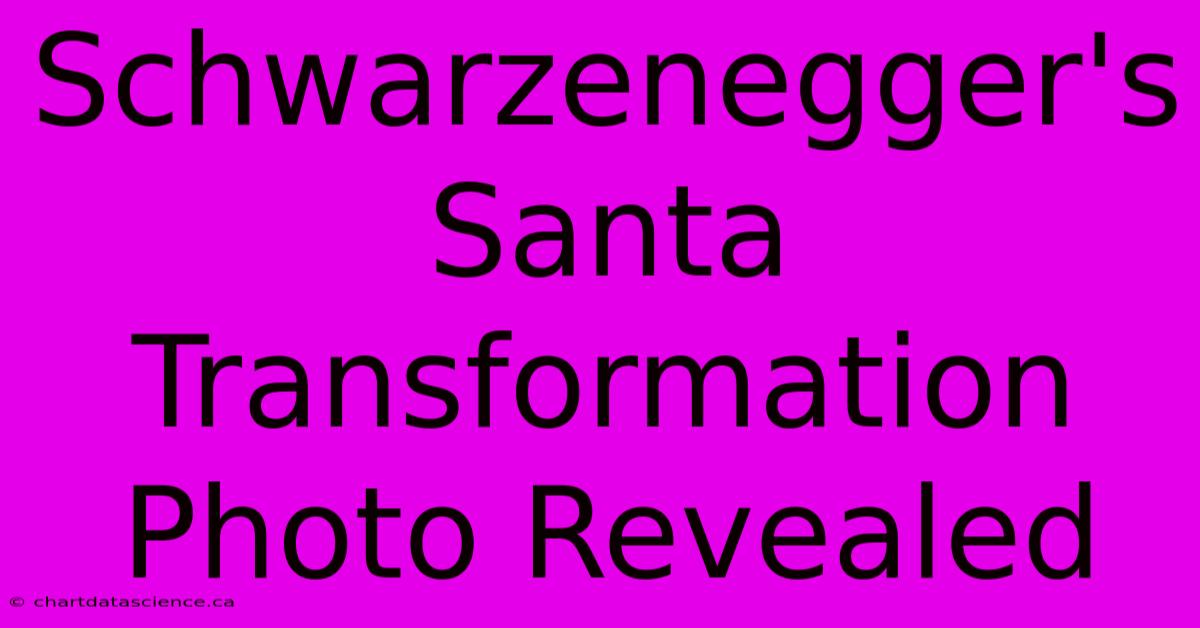 Schwarzenegger's Santa Transformation Photo Revealed