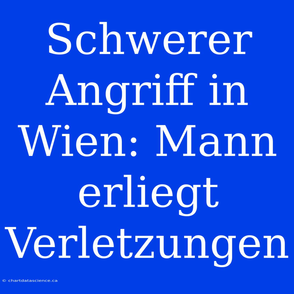 Schwerer Angriff In Wien: Mann Erliegt Verletzungen