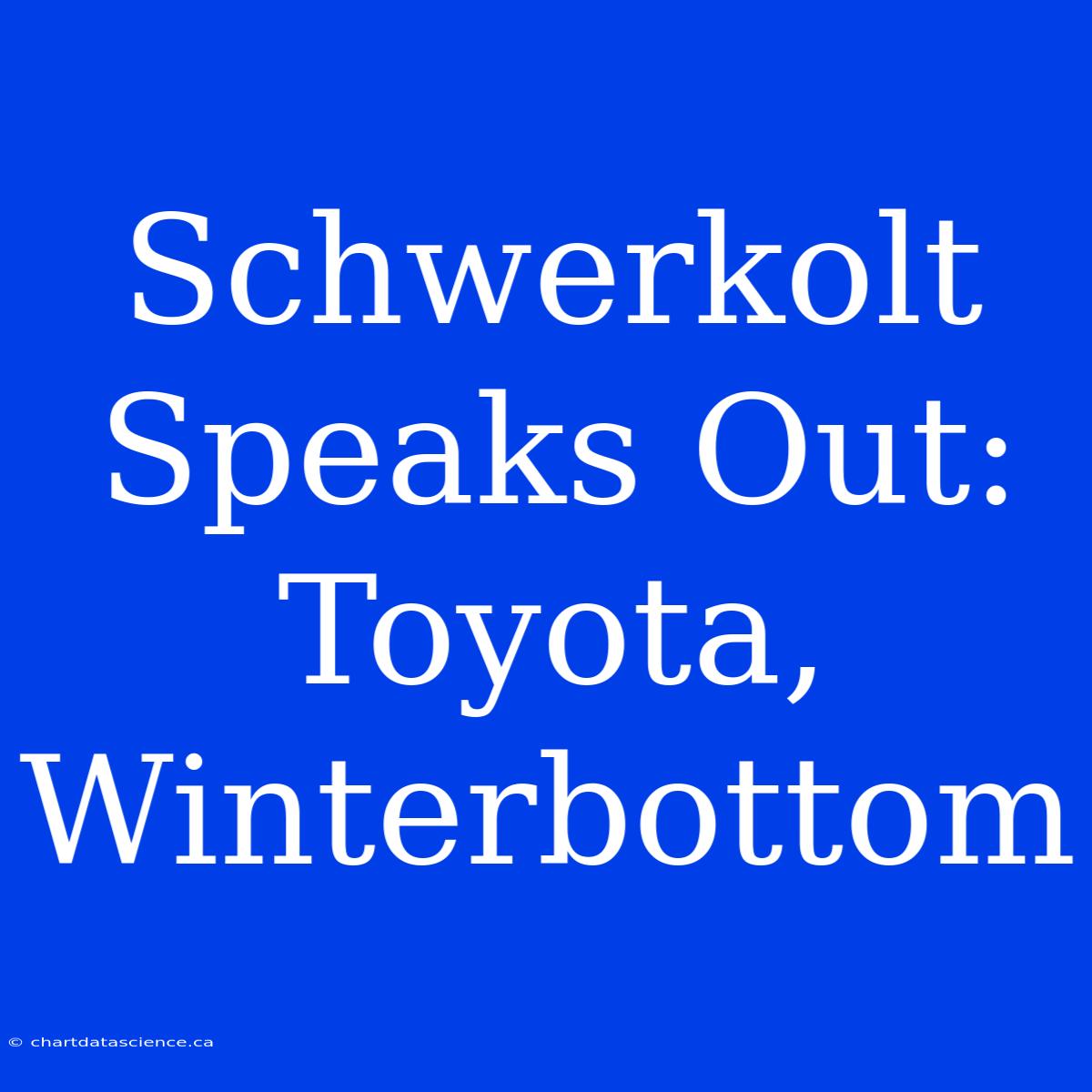 Schwerkolt Speaks Out: Toyota, Winterbottom