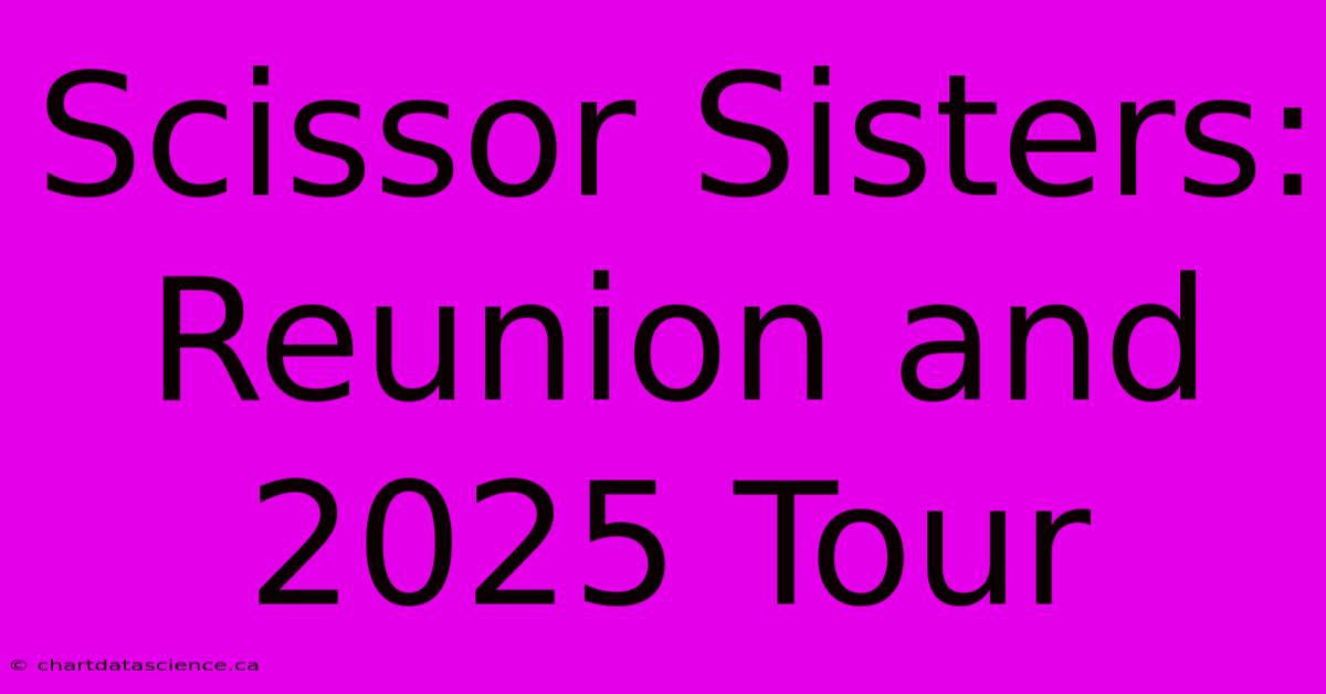 Scissor Sisters: Reunion And 2025 Tour 