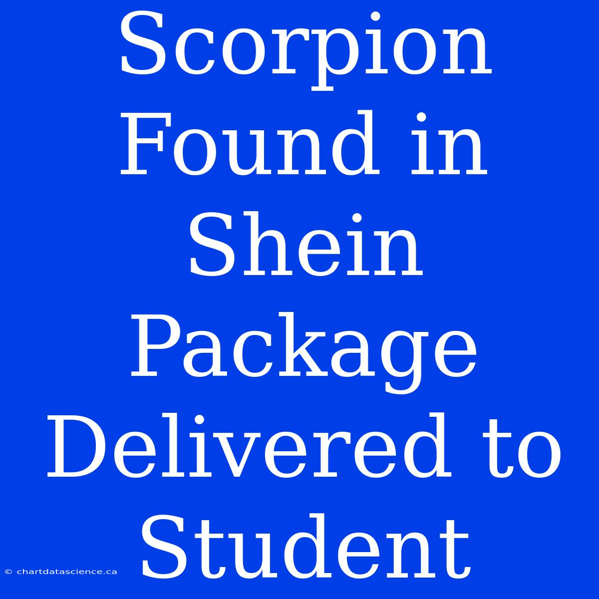 Scorpion Found In Shein Package Delivered To Student