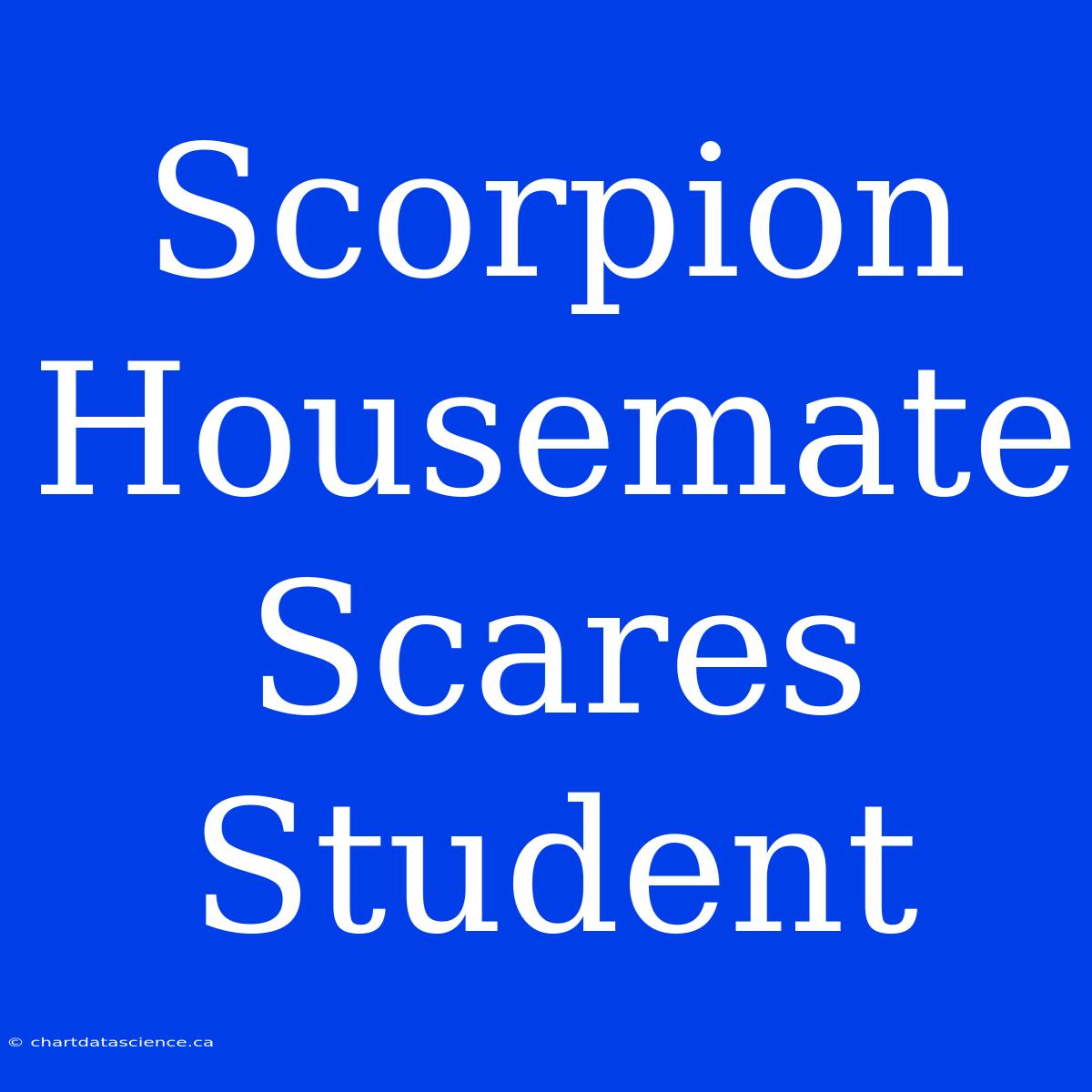 Scorpion Housemate Scares Student