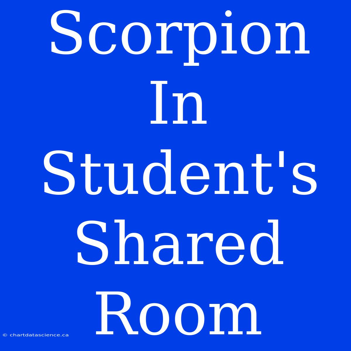 Scorpion In Student's Shared Room