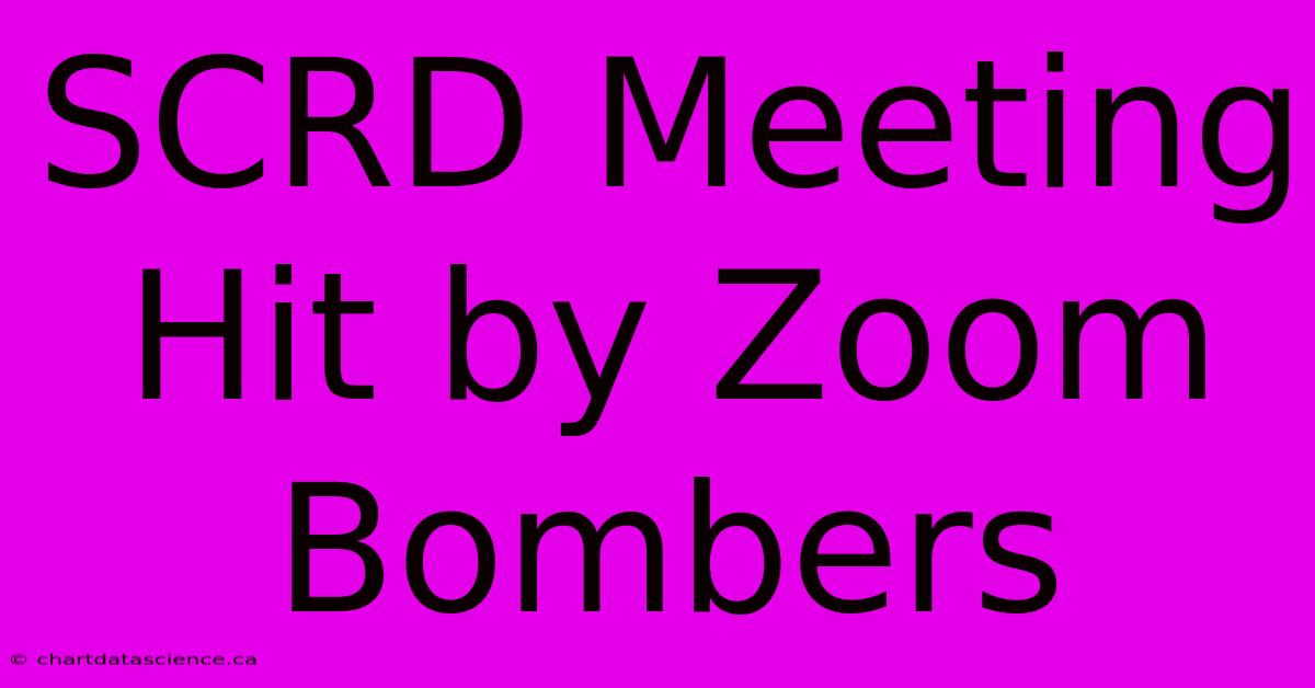 SCRD Meeting Hit By Zoom Bombers