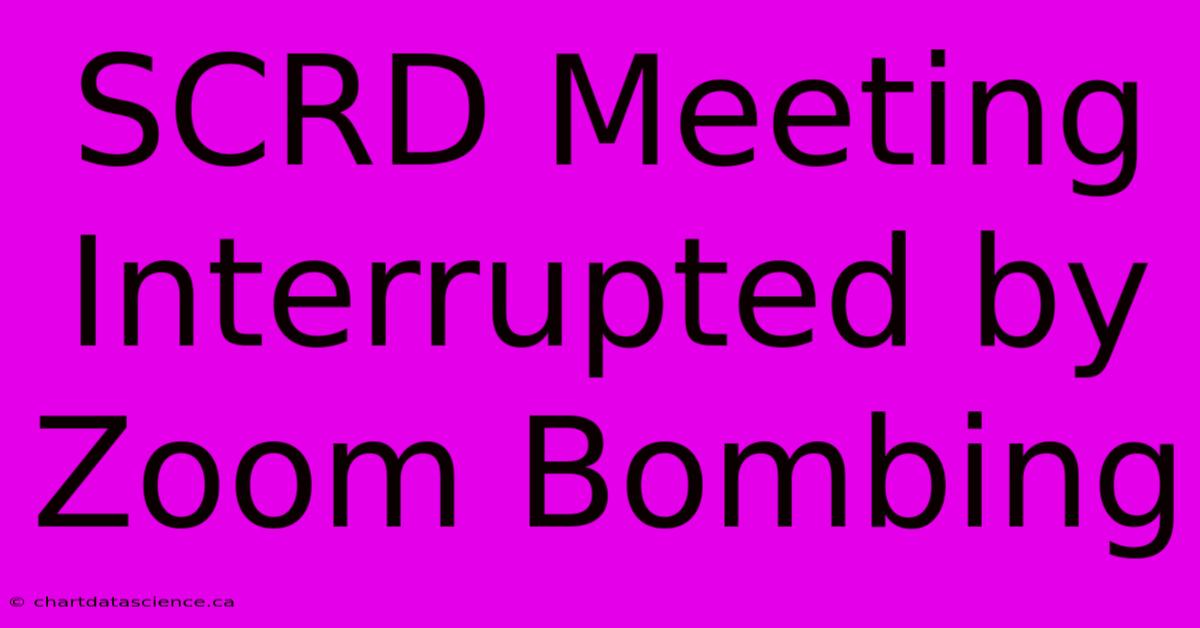 SCRD Meeting Interrupted By Zoom Bombing